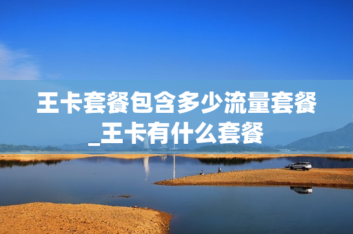 王卡套餐包含多少流量套餐_王卡有什么套餐