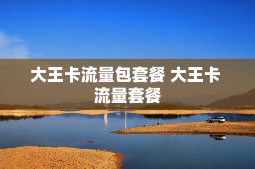 大王卡流量包套餐 大王卡 流量套餐