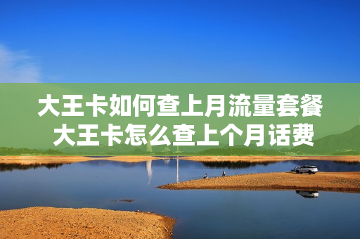 大王卡如何查上月流量套餐 大王卡怎么查上个月话费