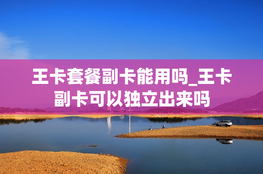 王卡套餐副卡能用吗_王卡副卡可以独立出来吗
