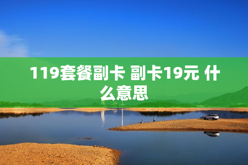 119套餐副卡 副卡19元 什么意思