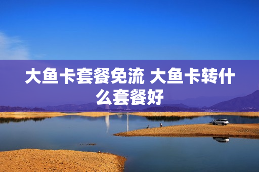 大鱼卡套餐免流 大鱼卡转什么套餐好