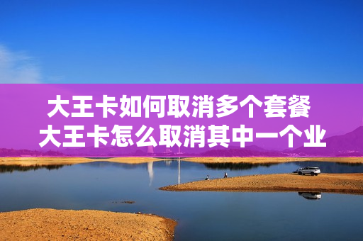 大王卡如何取消多个套餐 大王卡怎么取消其中一个业务