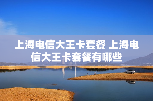 上海电信大王卡套餐 上海电信大王卡套餐有哪些