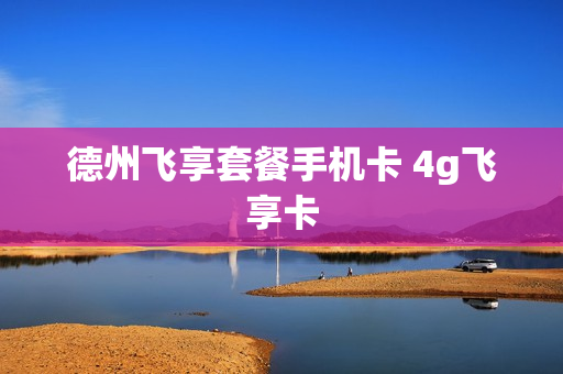 德州飞享套餐手机卡 4g飞享卡