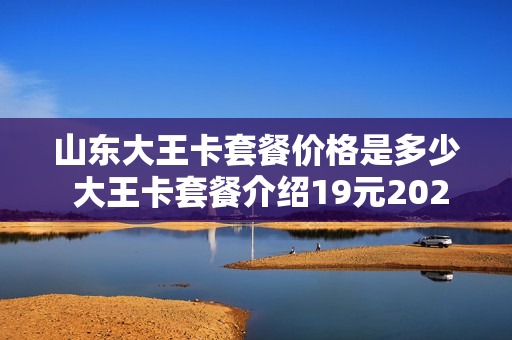 山东大王卡套餐价格是多少 大王卡套餐介绍19元2021