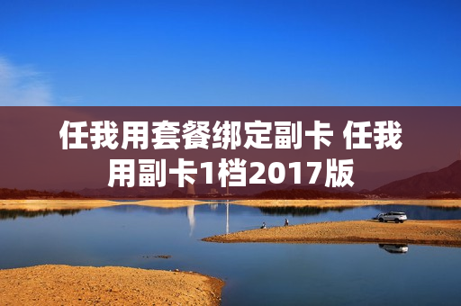 任我用套餐绑定副卡 任我用副卡1档2017版