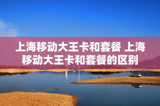 上海移动大王卡和套餐 上海移动大王卡和套餐的区别
