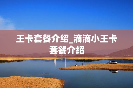 王卡套餐介绍_滴滴小王卡套餐介绍