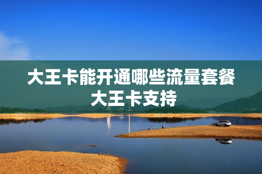 大王卡能开通哪些流量套餐 大王卡支持