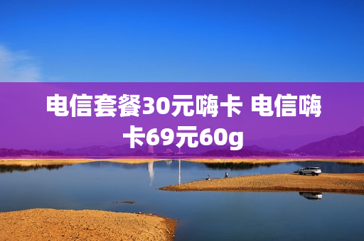 电信套餐30元嗨卡 电信嗨卡69元60g