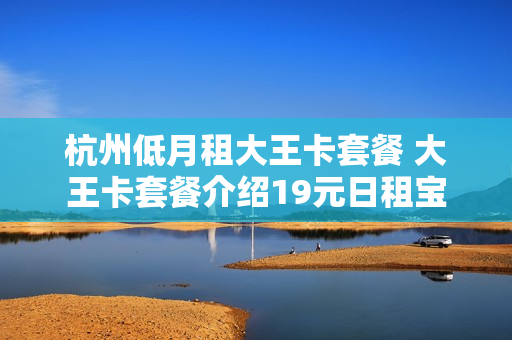 杭州低月租大王卡套餐 大王卡套餐介绍19元日租宝
