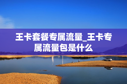 王卡套餐专属流量_王卡专属流量包是什么
