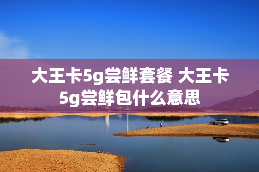 大王卡5g尝鲜套餐 大王卡5g尝鲜包什么意思