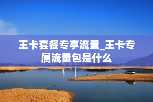 王卡套餐专享流量_王卡专属流量包是什么