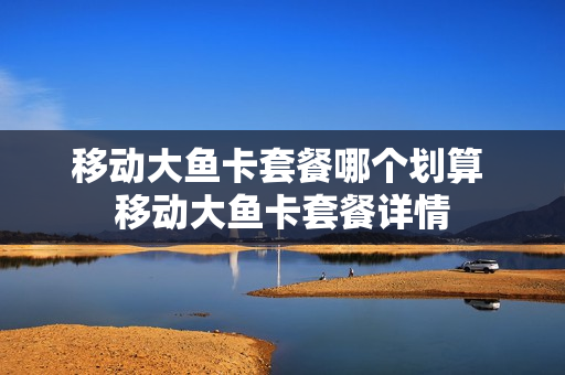 移动大鱼卡套餐哪个划算 移动大鱼卡套餐详情
