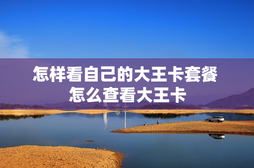怎样看自己的大王卡套餐 怎么查看大王卡