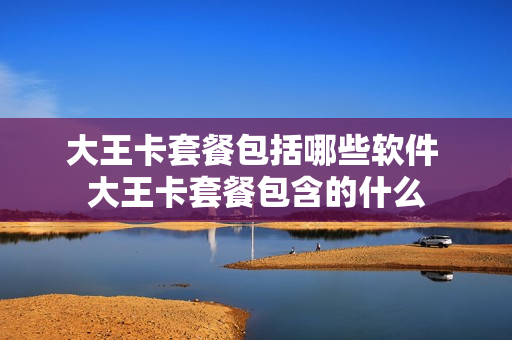 大王卡套餐包括哪些软件 大王卡套餐包含的什么