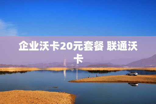 企业沃卡20元套餐 联通沃卡