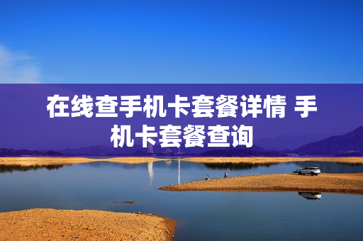 在线查手机卡套餐详情 手机卡套餐查询
