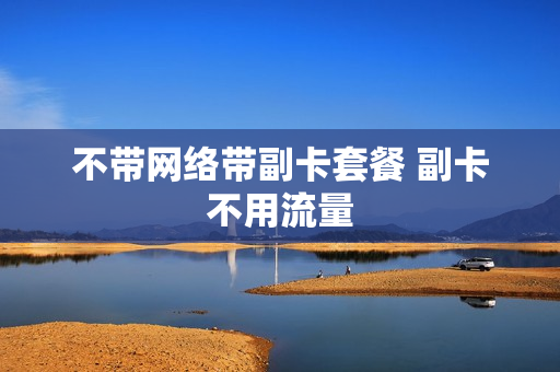 不带网络带副卡套餐 副卡不用流量