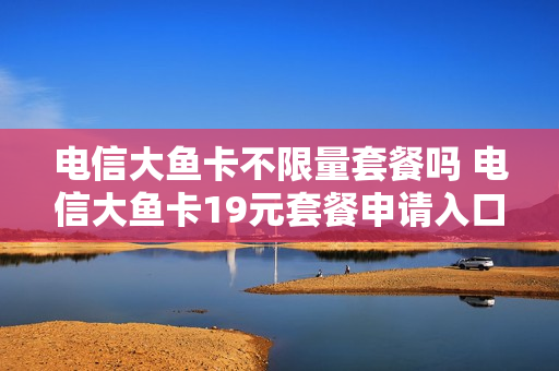 电信大鱼卡不限量套餐吗 电信大鱼卡19元套餐申请入口