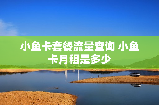 小鱼卡套餐流量查询 小鱼卡月租是多少