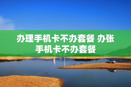 办理手机卡不办套餐 办张手机卡不办套餐