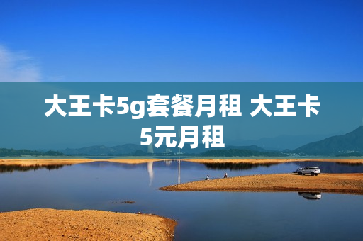 大王卡5g套餐月租 大王卡5元月租