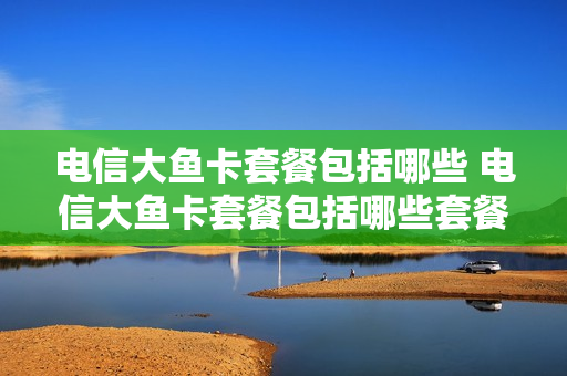 电信大鱼卡套餐包括哪些 电信大鱼卡套餐包括哪些套餐