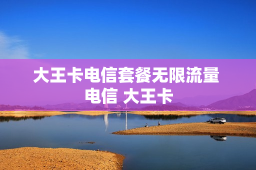 大王卡电信套餐无限流量 电信 大王卡
