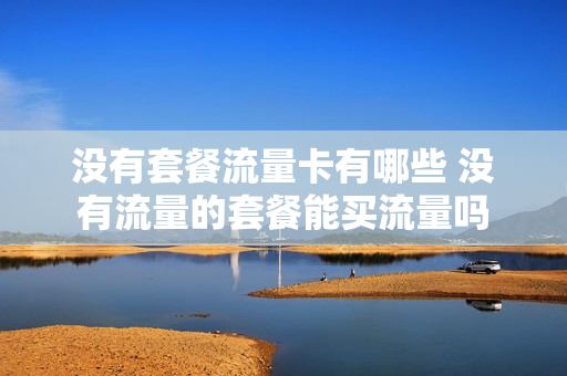 没有套餐流量卡有哪些 没有流量的套餐能买流量吗