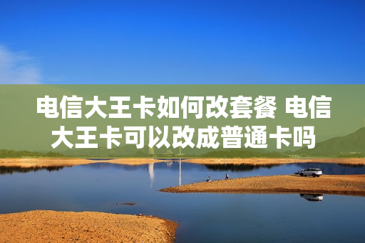 电信大王卡如何改套餐 电信大王卡可以改成普通卡吗