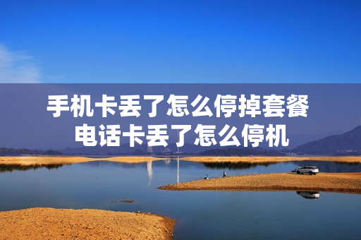 手机卡丢了怎么停掉套餐 电话卡丢了怎么停机