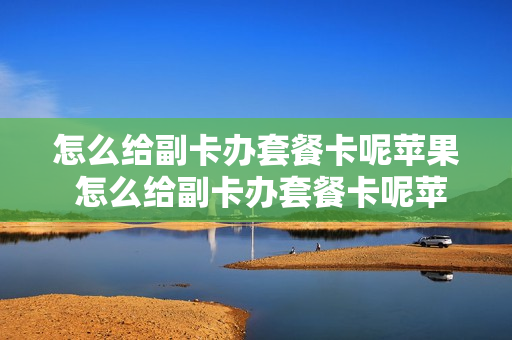 怎么给副卡办套餐卡呢苹果 怎么给副卡办套餐卡呢苹果