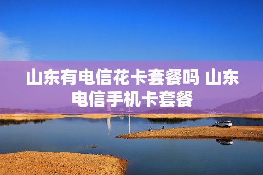 山东有电信花卡套餐吗 山东电信手机卡套餐