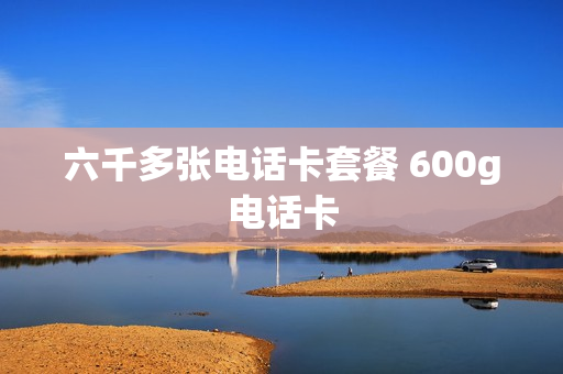六千多张电话卡套餐 600g电话卡