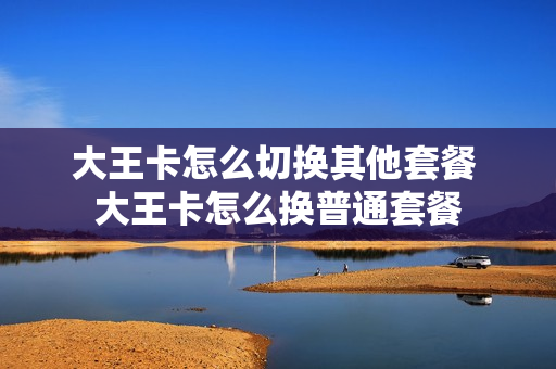 大王卡怎么切换其他套餐 大王卡怎么换普通套餐