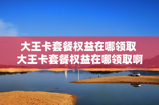大王卡套餐权益在哪领取 大王卡套餐权益在哪领取啊