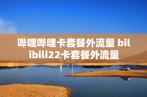 哔哩哔哩卡套餐外流量 bilibili22卡套餐外流量