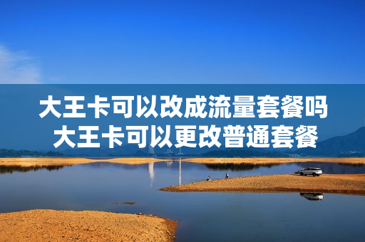 大王卡可以改成流量套餐吗 大王卡可以更改普通套餐吗