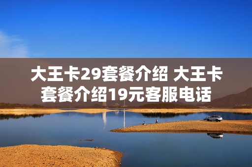 大王卡29套餐介绍 大王卡套餐介绍19元客服电话