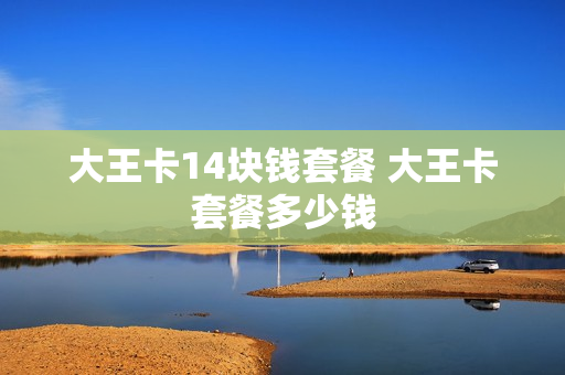 大王卡14块钱套餐 大王卡套餐多少钱