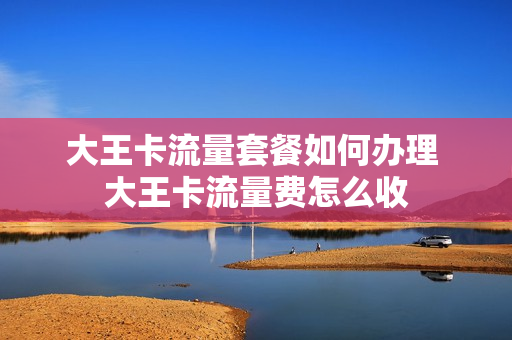 大王卡流量套餐如何办理 大王卡流量费怎么收