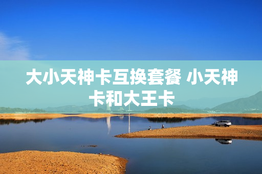 大小天神卡互换套餐 小天神卡和大王卡