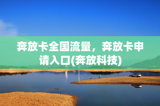 奔放卡全国流量，奔放卡申请入口(奔放科技)