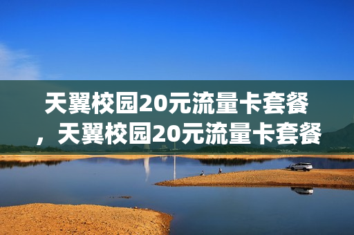 天翼校园20元流量卡套餐，天翼校园20元流量卡套餐怎么取消(校园天翼套餐20元100g定向流量)