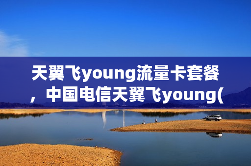 天翼飞young流量卡套餐，中国电信天翼飞young(电信天翼飞young套餐19元)