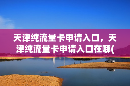 天津纯流量卡申请入口，天津纯流量卡申请入口在哪(天津流量包优惠活动)