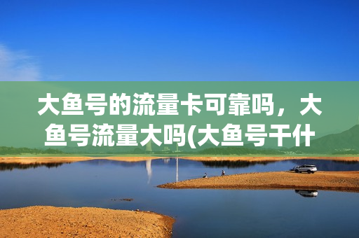 大鱼号的流量卡可靠吗，大鱼号流量大吗(大鱼号干什么用的)